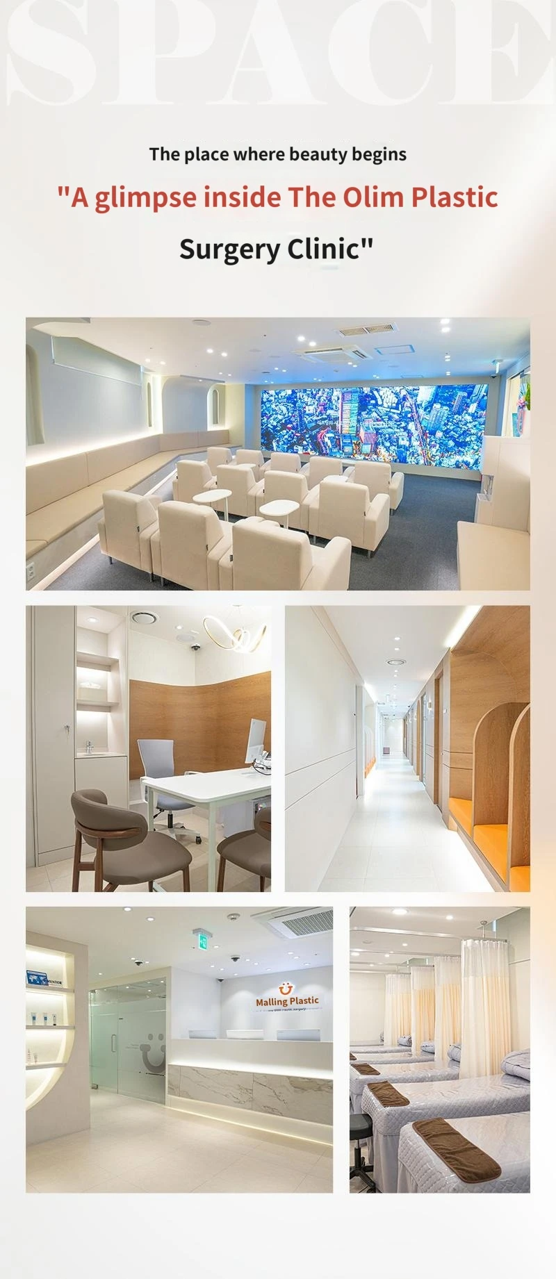 hospital_introduction