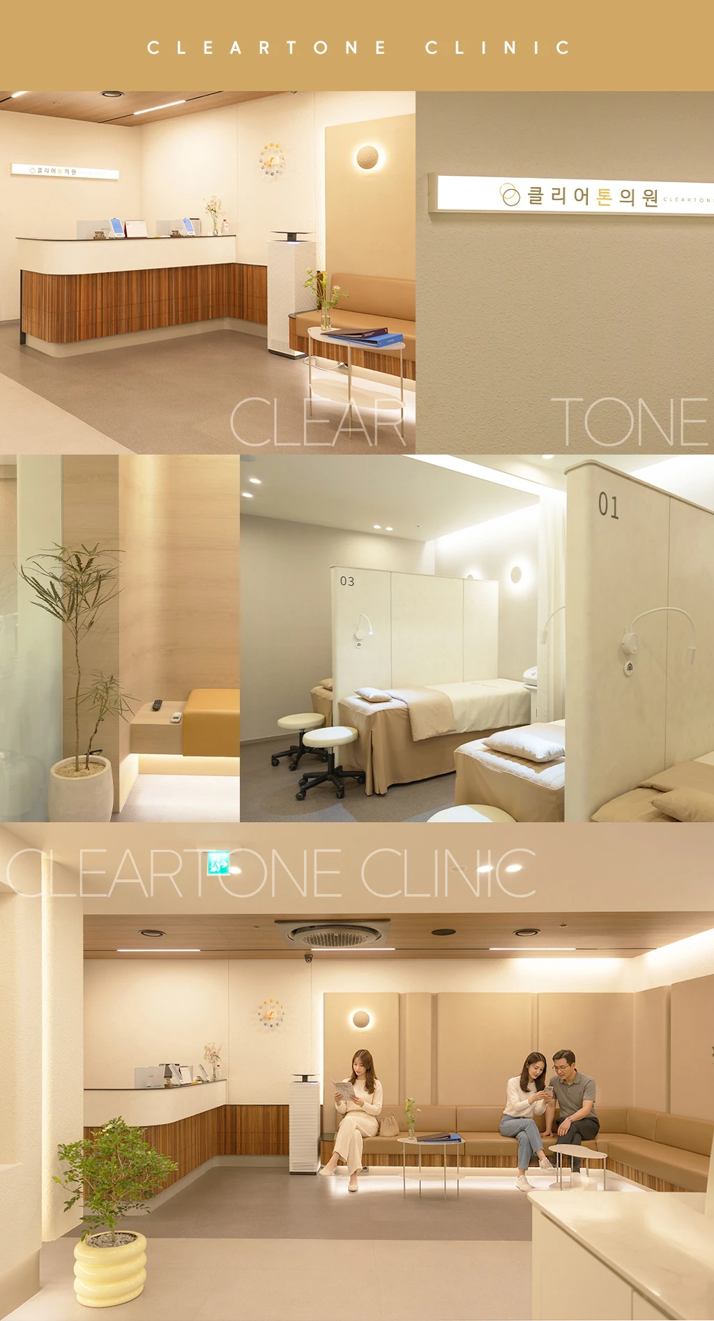 treatmentIntroduction