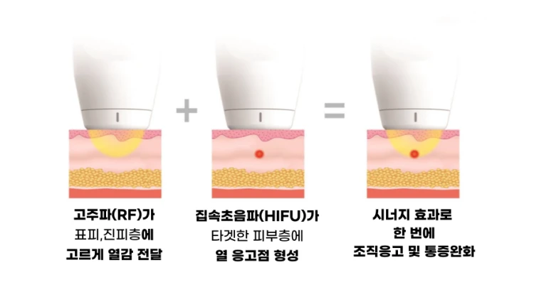 treatmentIntroduction