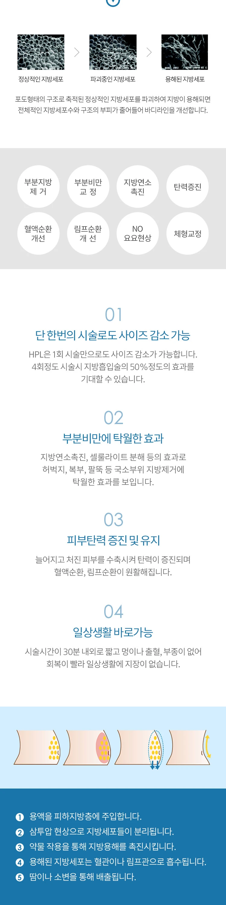 treatmentIntroduction