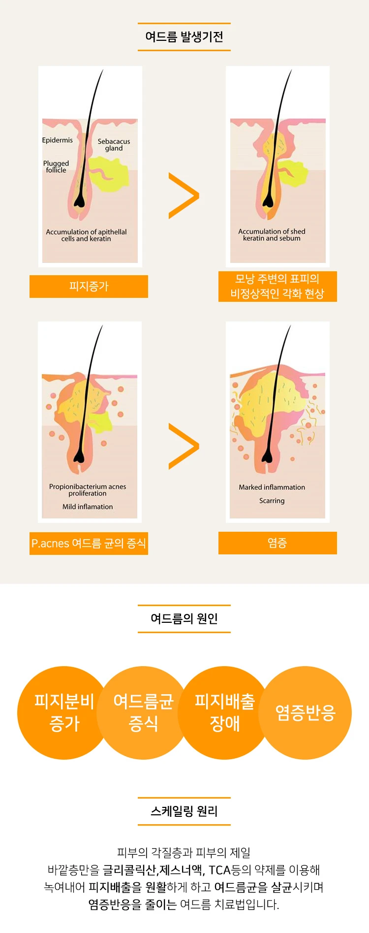treatmentIntroduction