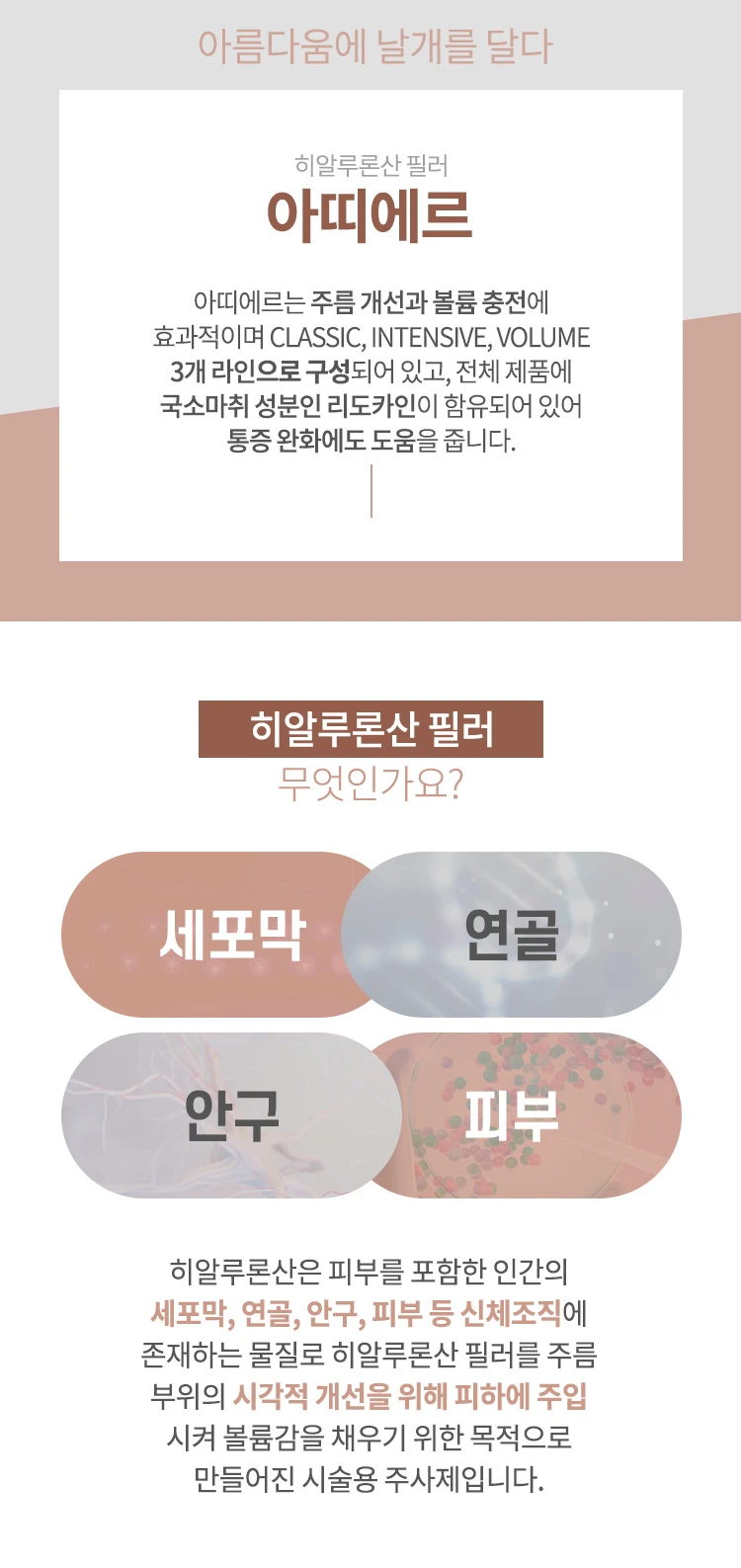 treatmentIntroduction