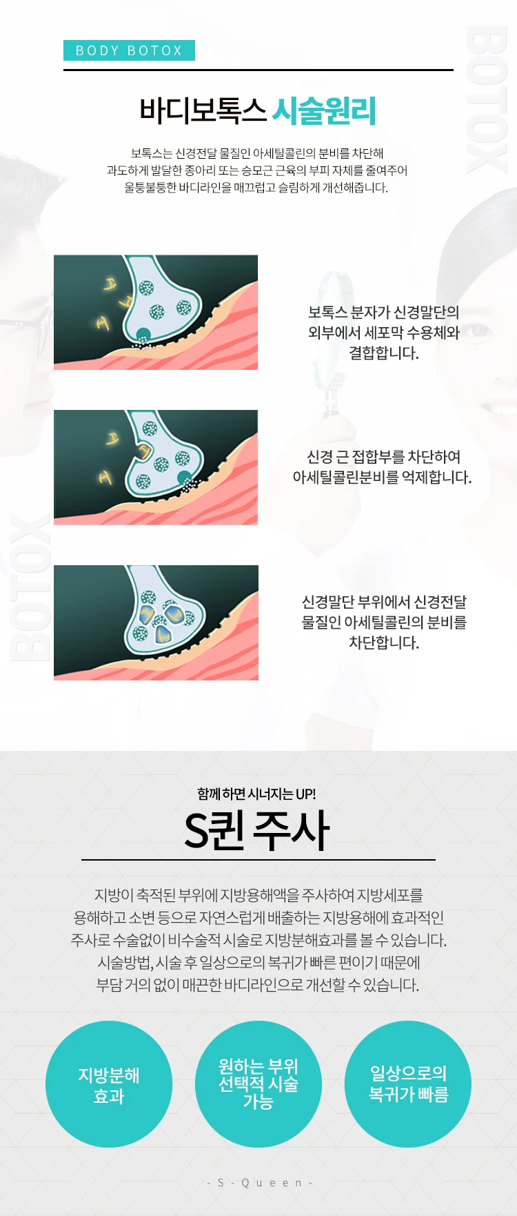treatmentIntroduction