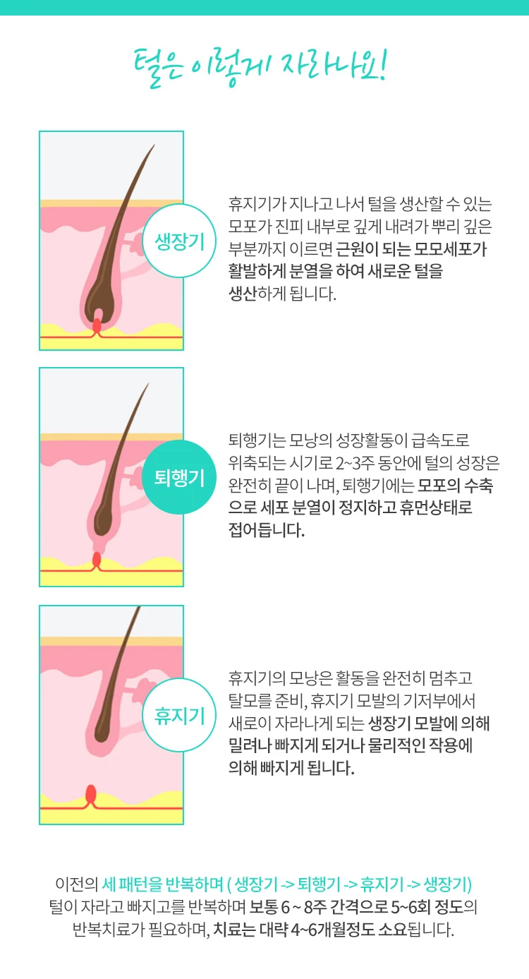 treatmentIntroduction