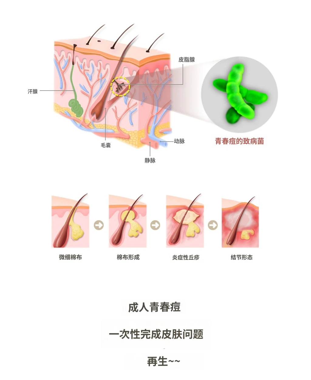 treatmentIntroduction