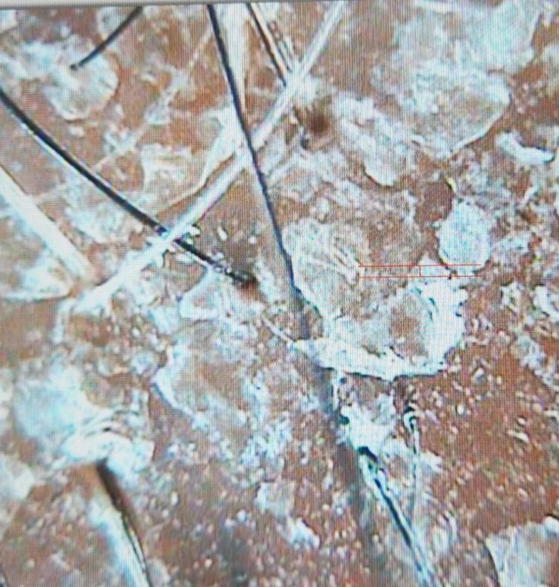 before_image