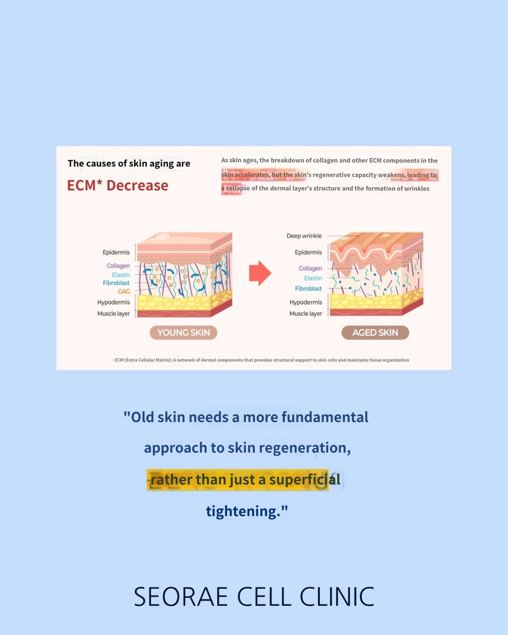 treatmentIntroduction