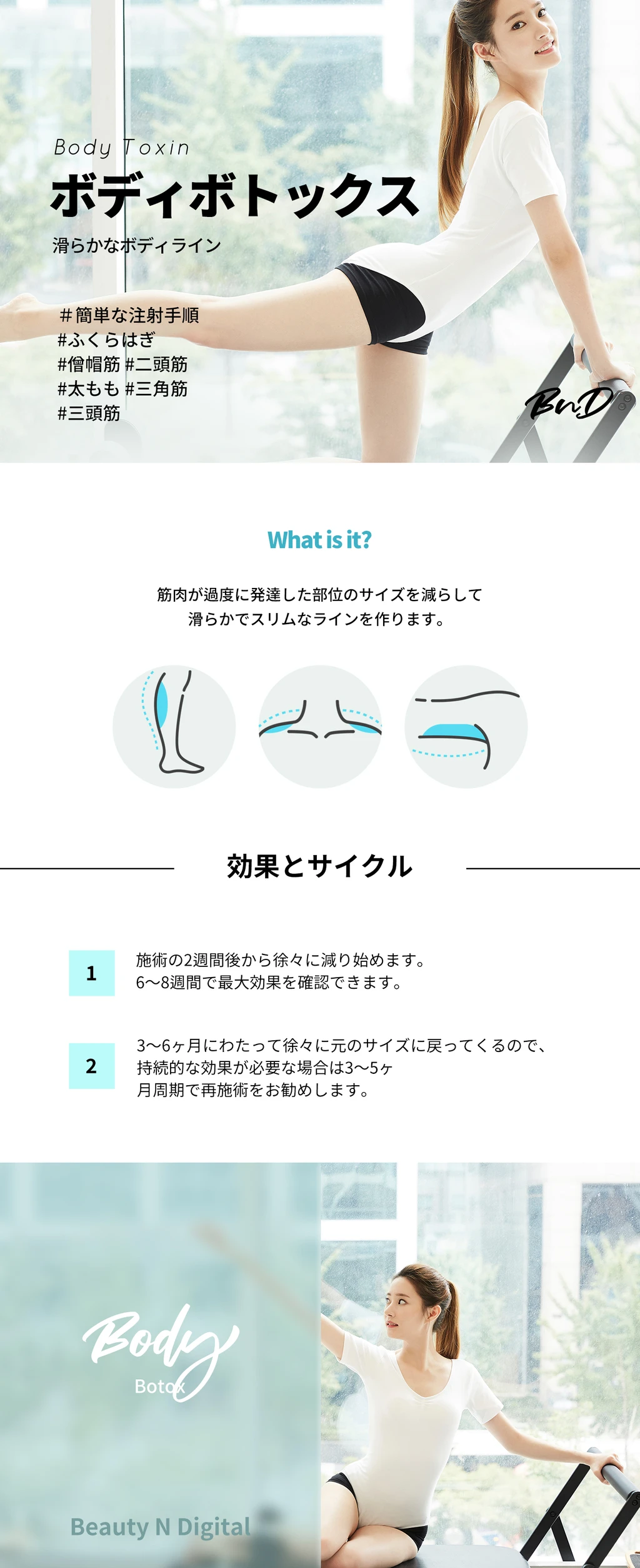treatmentIntroduction