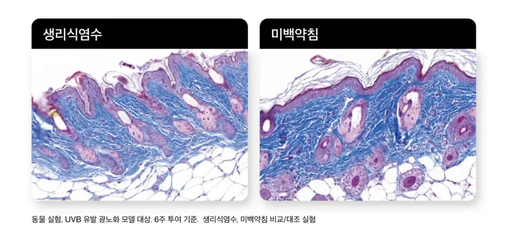 treatmentIntroduction