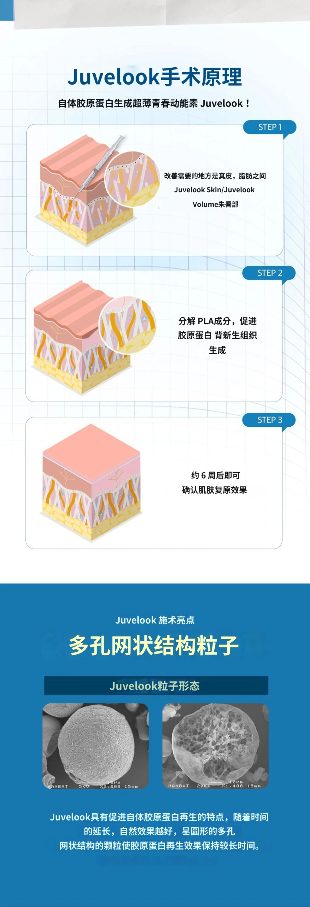treatmentIntroduction