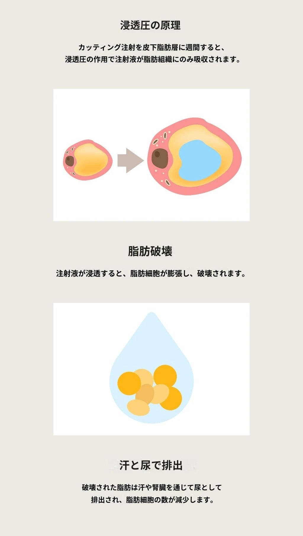 treatmentIntroduction