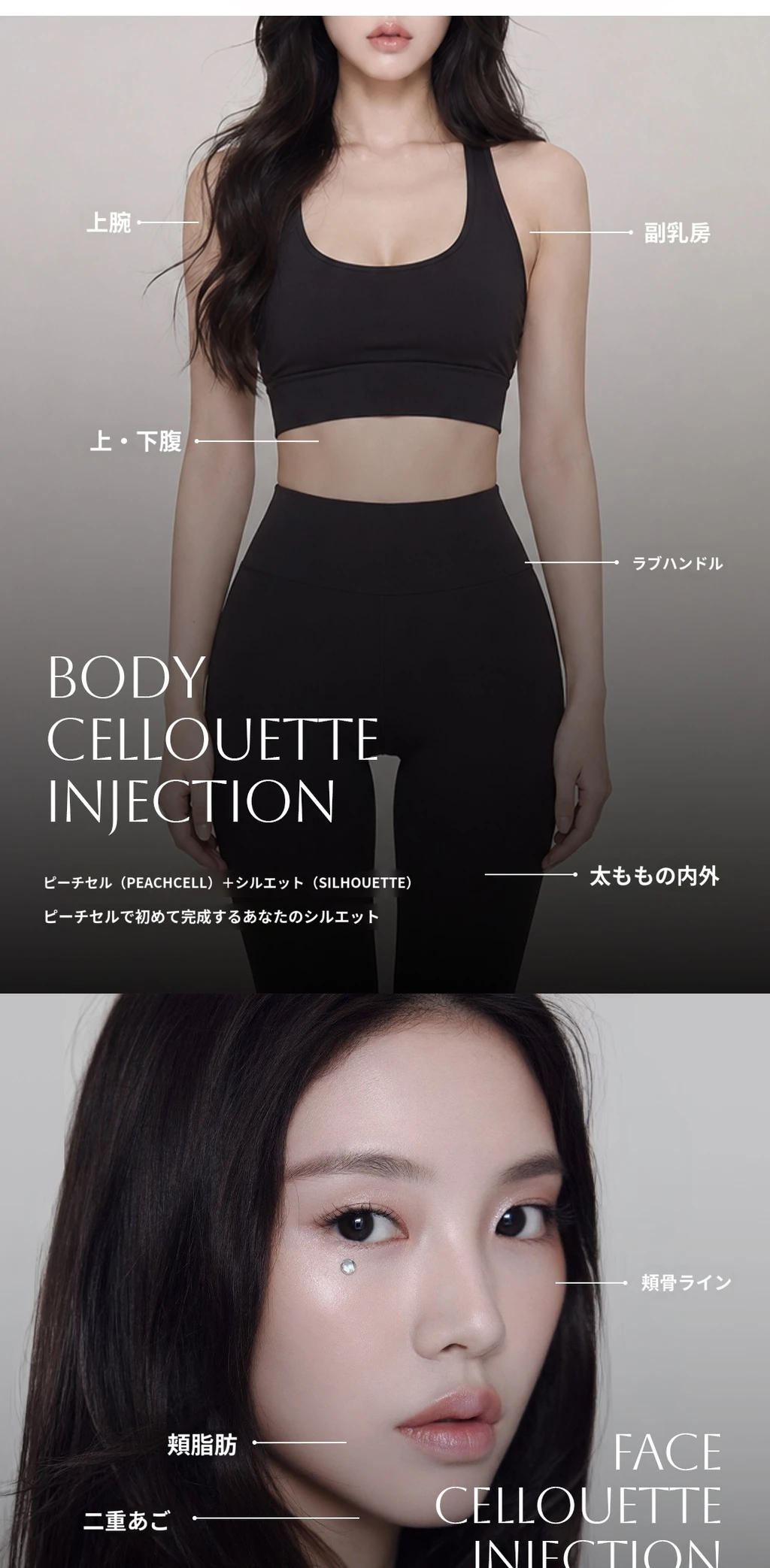 treatmentIntroduction