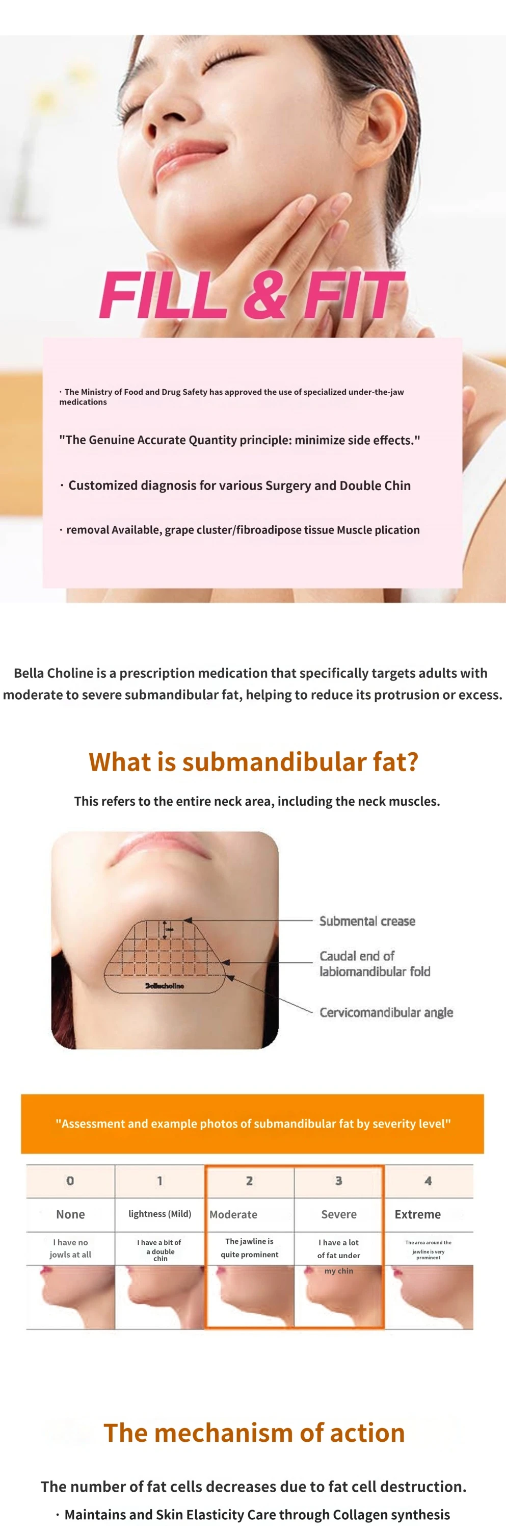 treatmentIntroduction