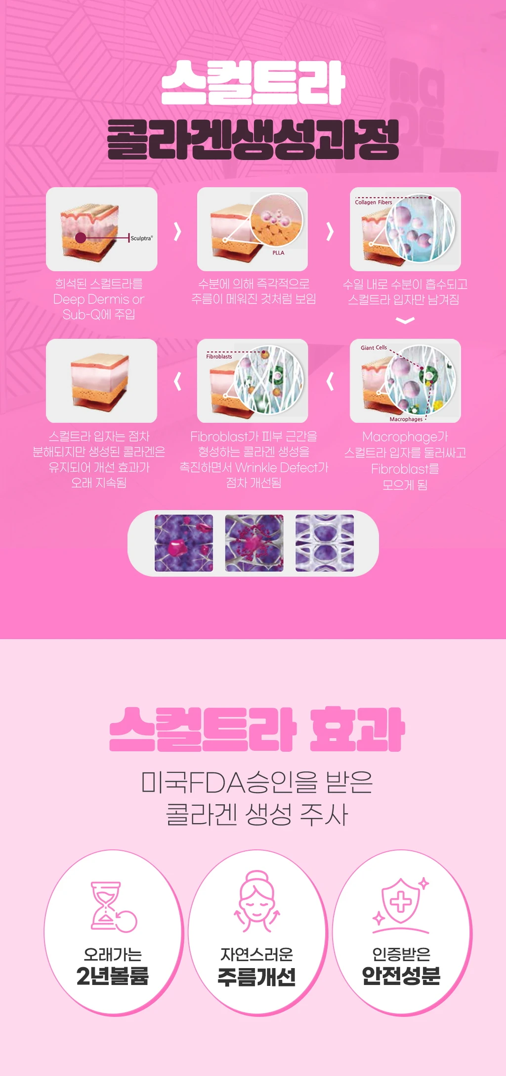 treatmentIntroduction