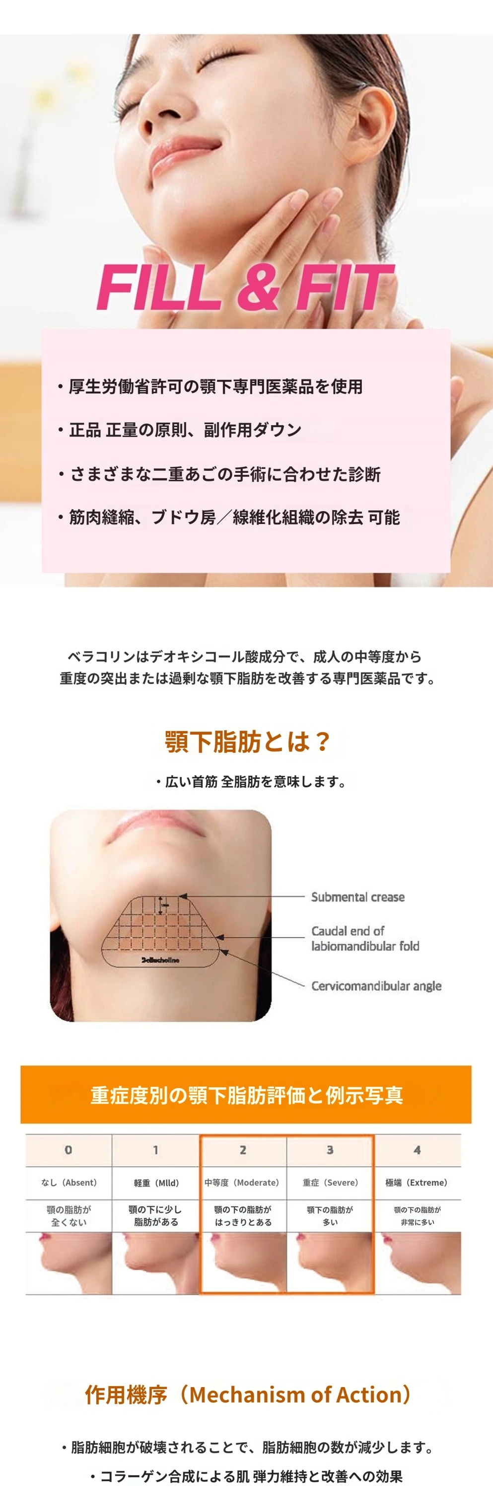 treatmentIntroduction