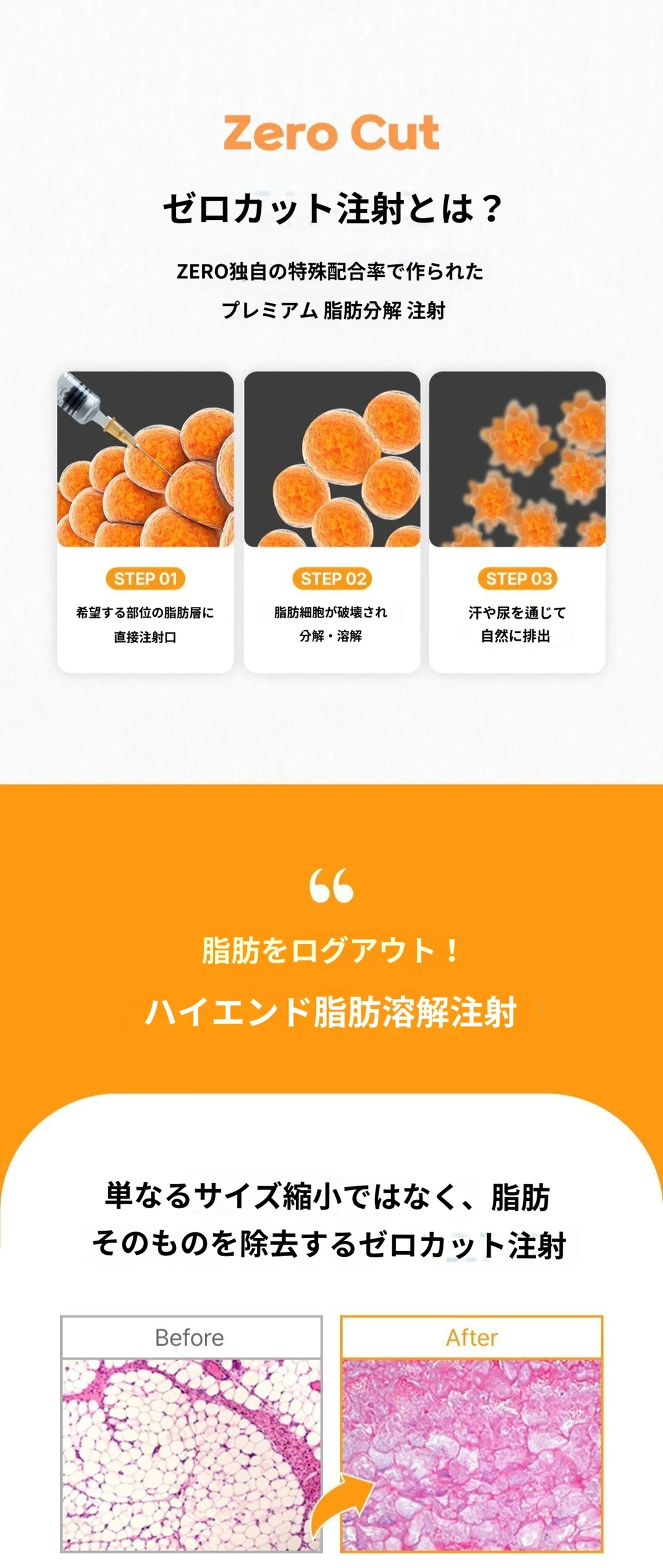 treatmentIntroduction