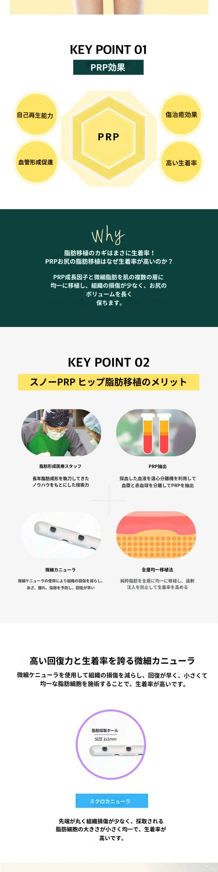 treatmentIntroduction