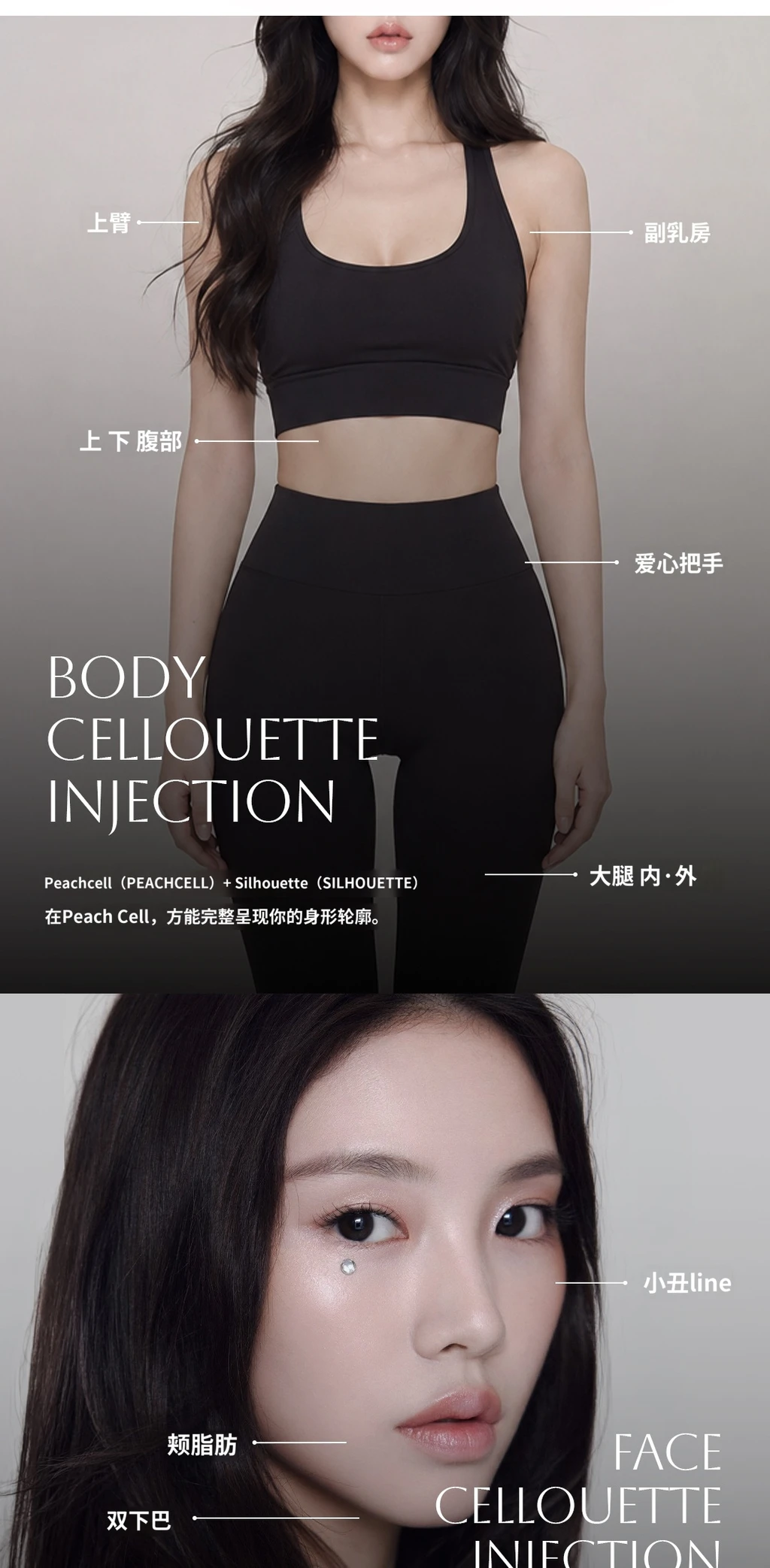 treatmentIntroduction