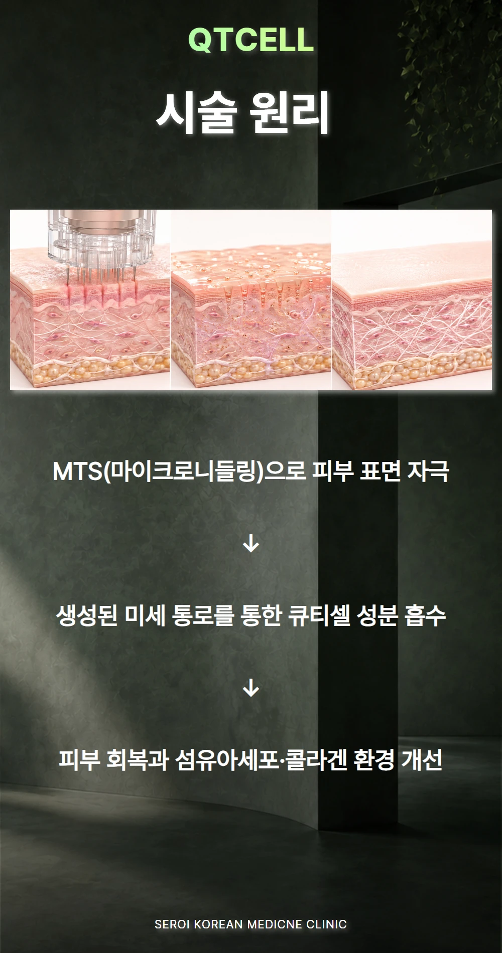 treatmentIntroduction