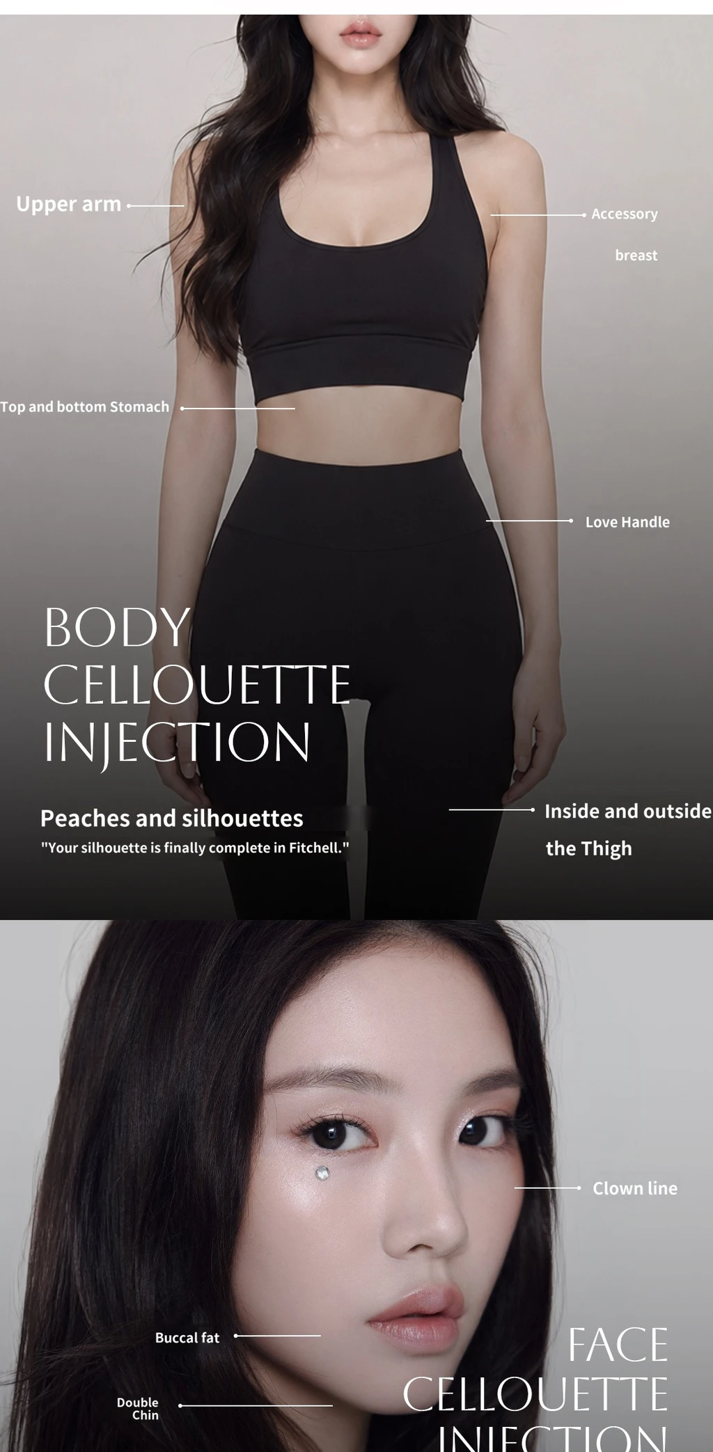 treatmentIntroduction