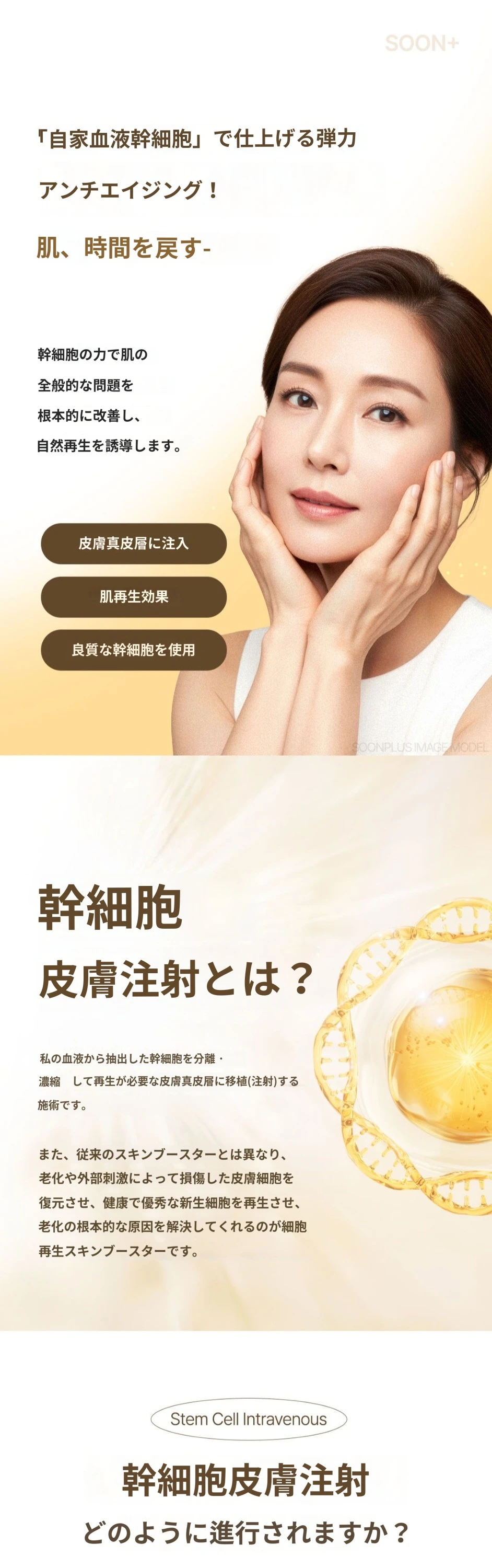 treatmentIntroduction