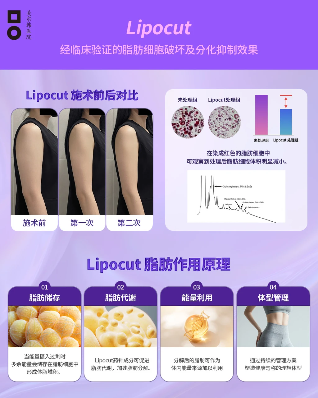 treatmentIntroduction