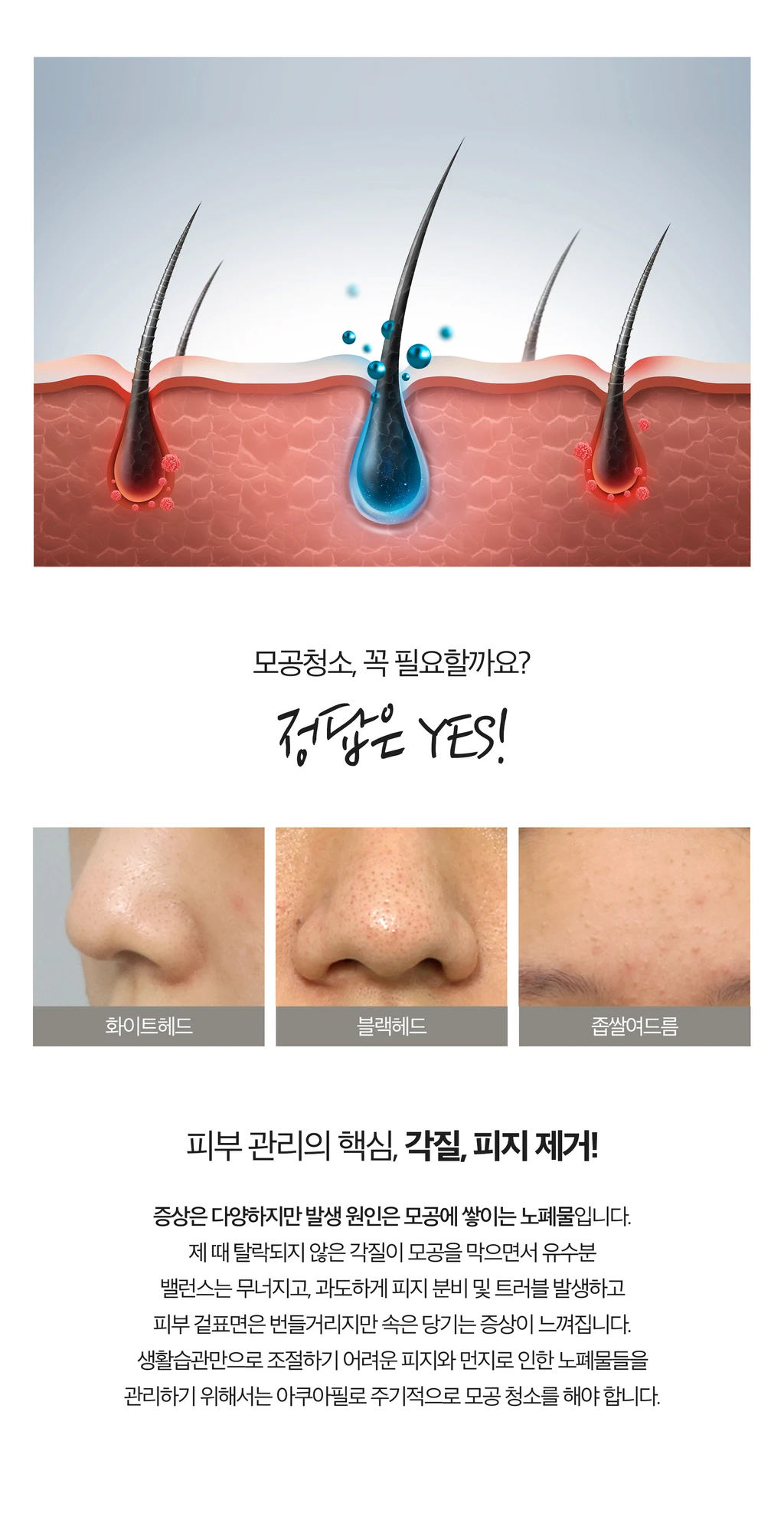 treatmentIntroduction