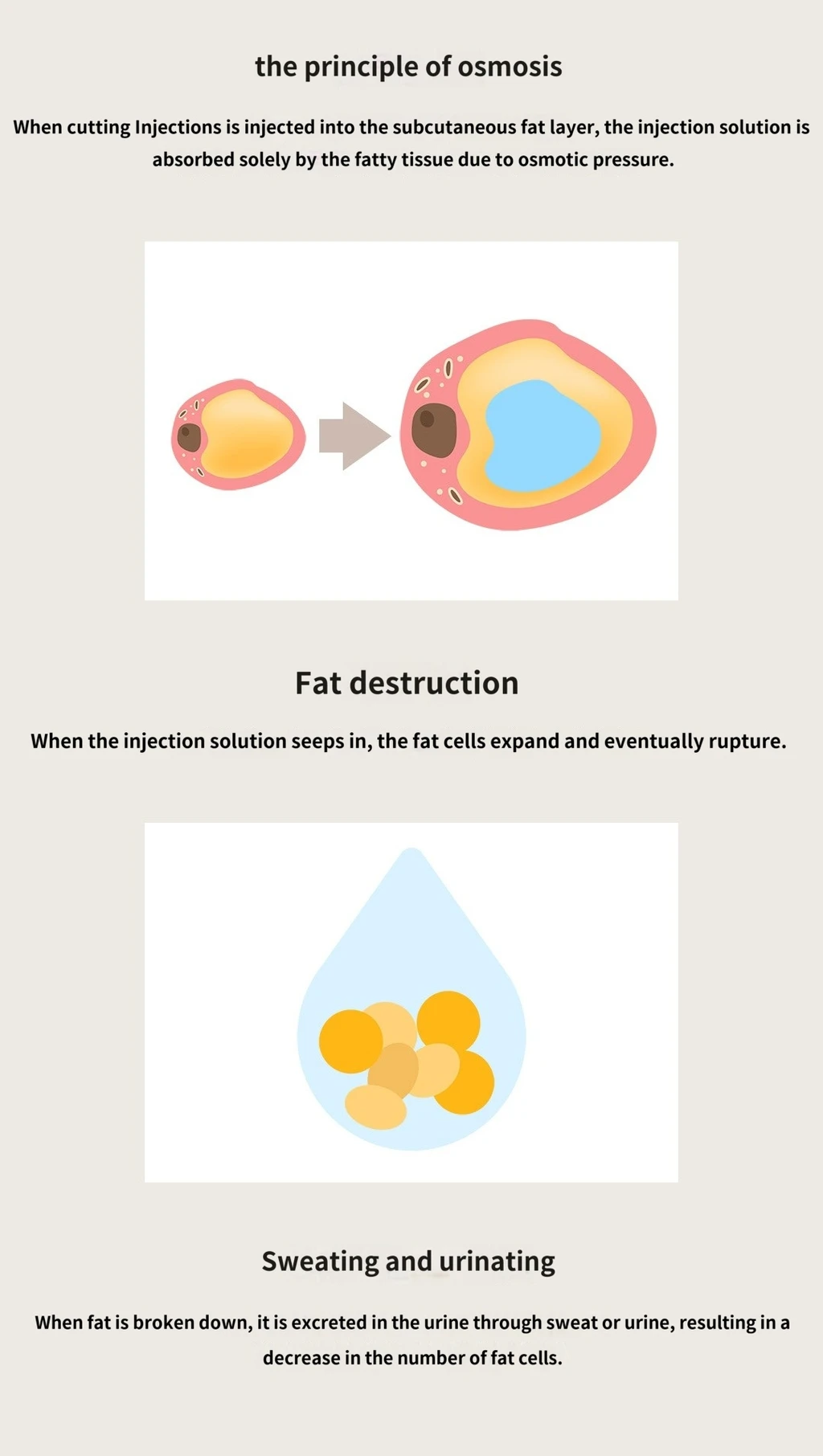 treatmentIntroduction