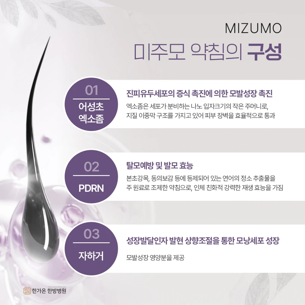 treatmentIntroduction