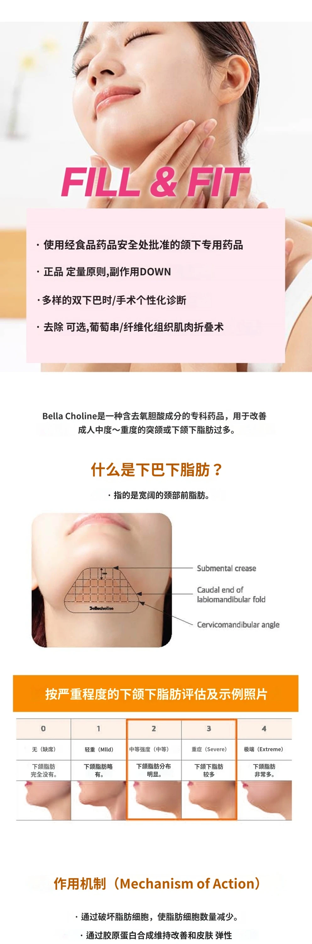 treatmentIntroduction