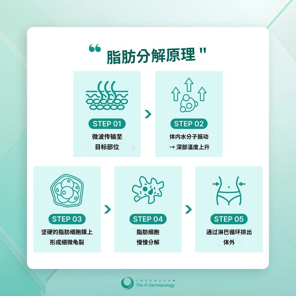 treatmentIntroduction