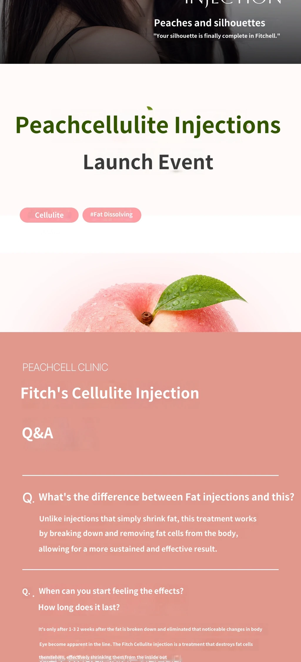 treatmentIntroduction