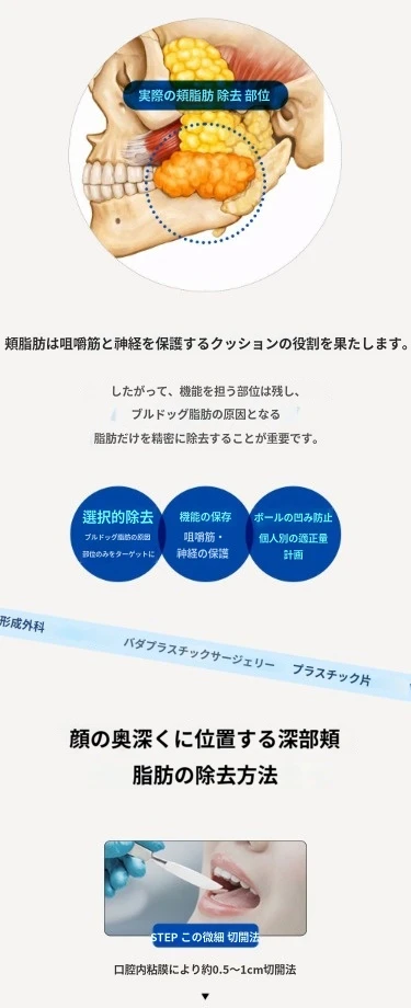 treatmentIntroduction