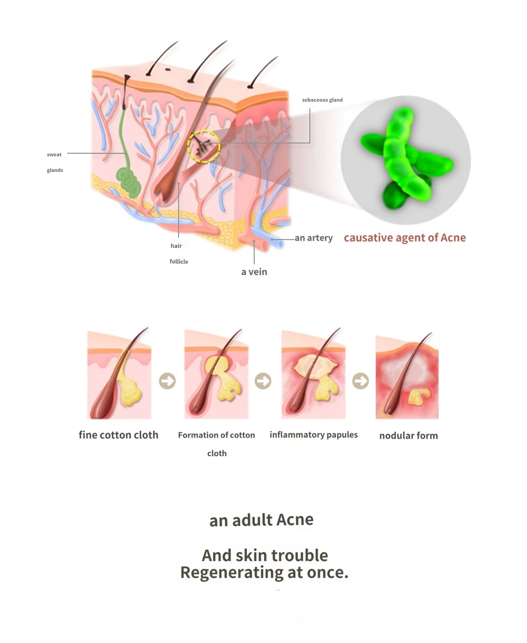 treatmentIntroduction