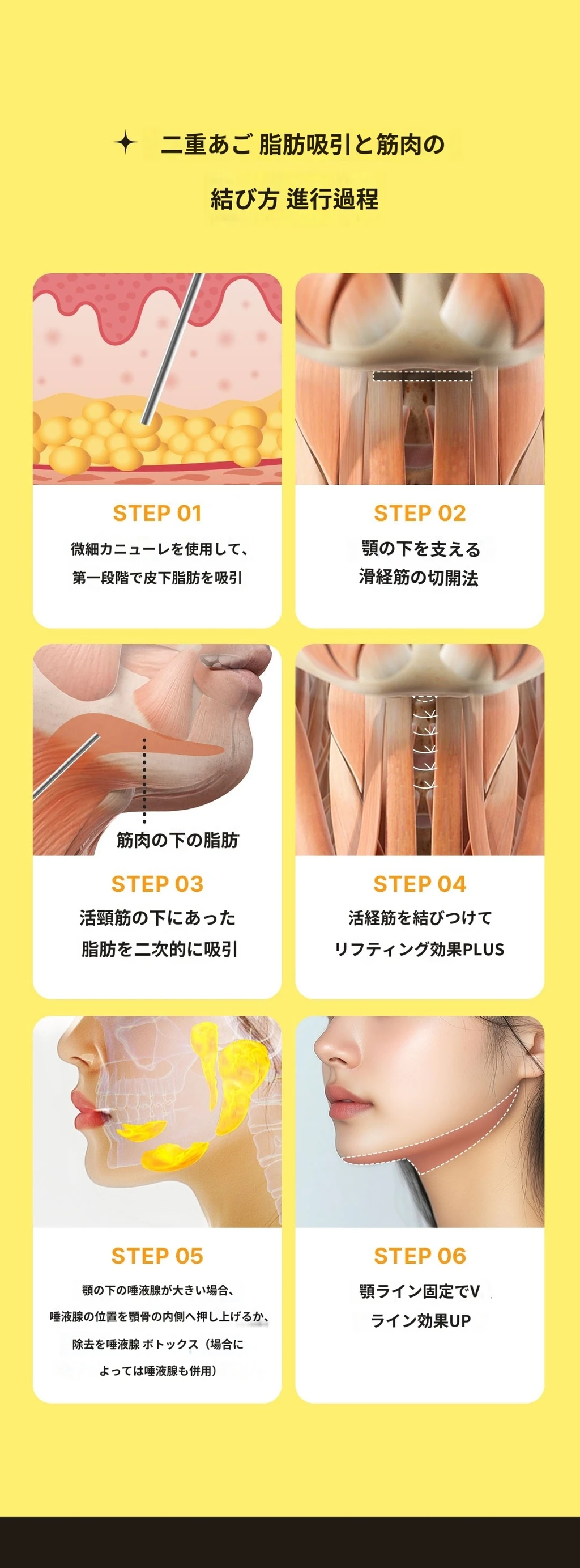 treatmentIntroduction