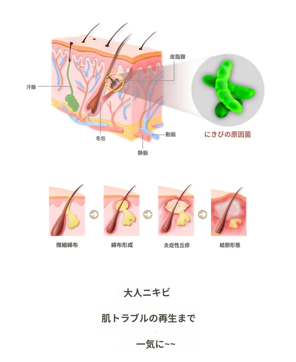treatmentIntroduction