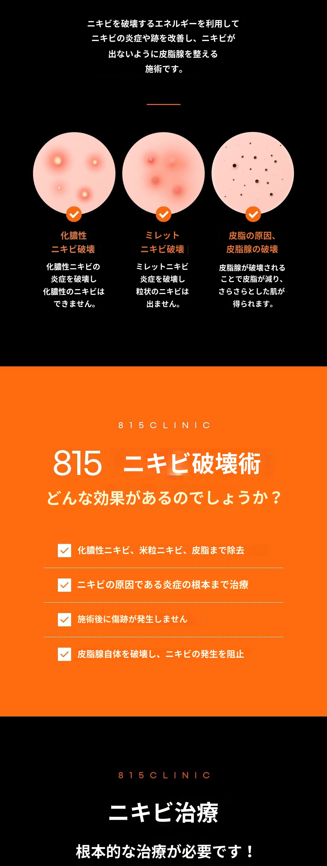 ニキビ撃退 割引、価格、レビュー、ビフォーアフター、効果 by 815