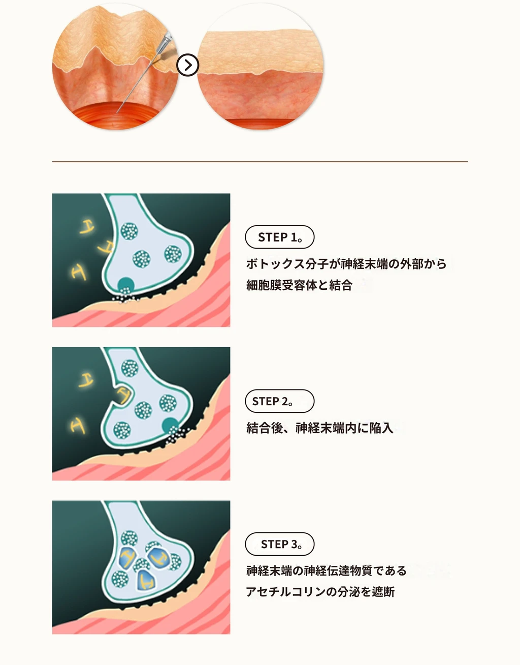 treatmentIntroduction