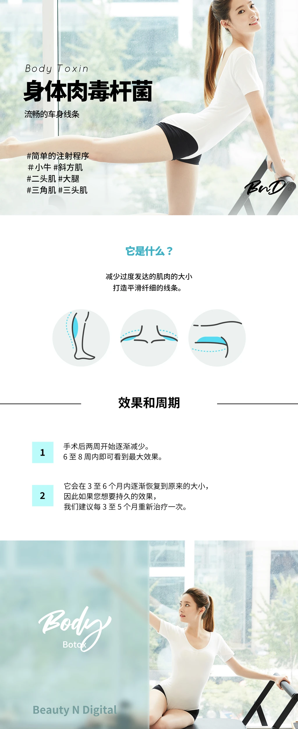 treatmentIntroduction