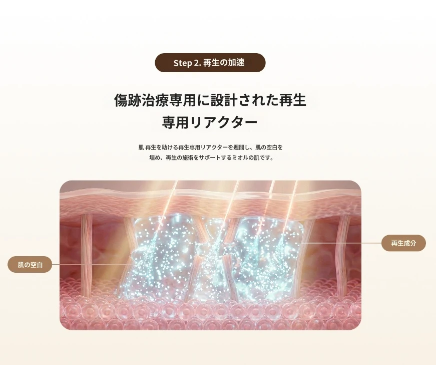 treatmentIntroduction