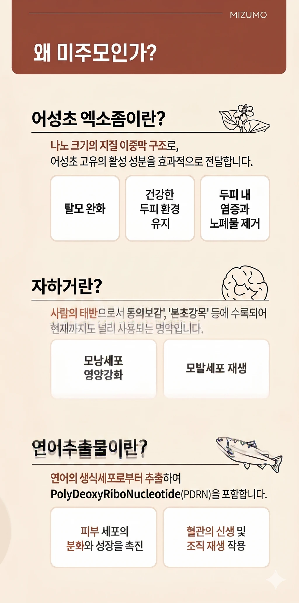 treatmentIntroduction