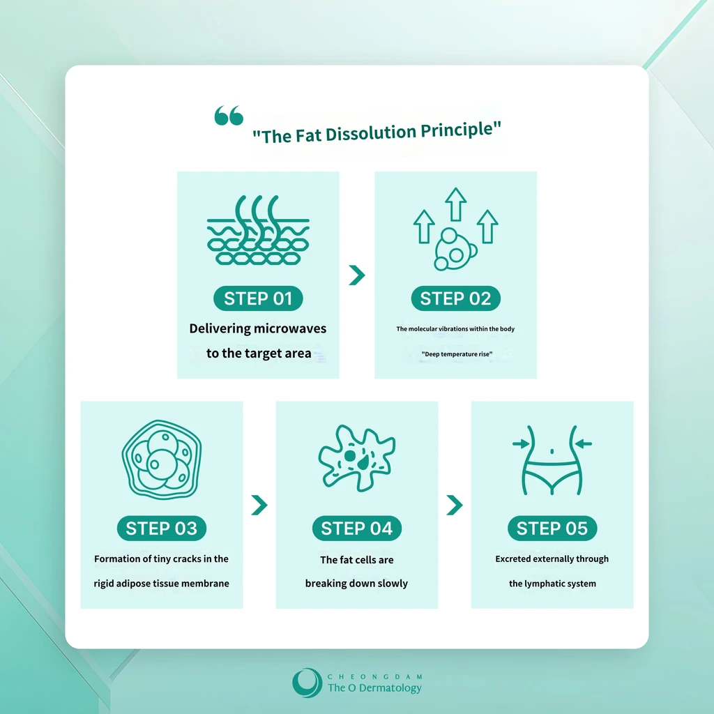 treatmentIntroduction