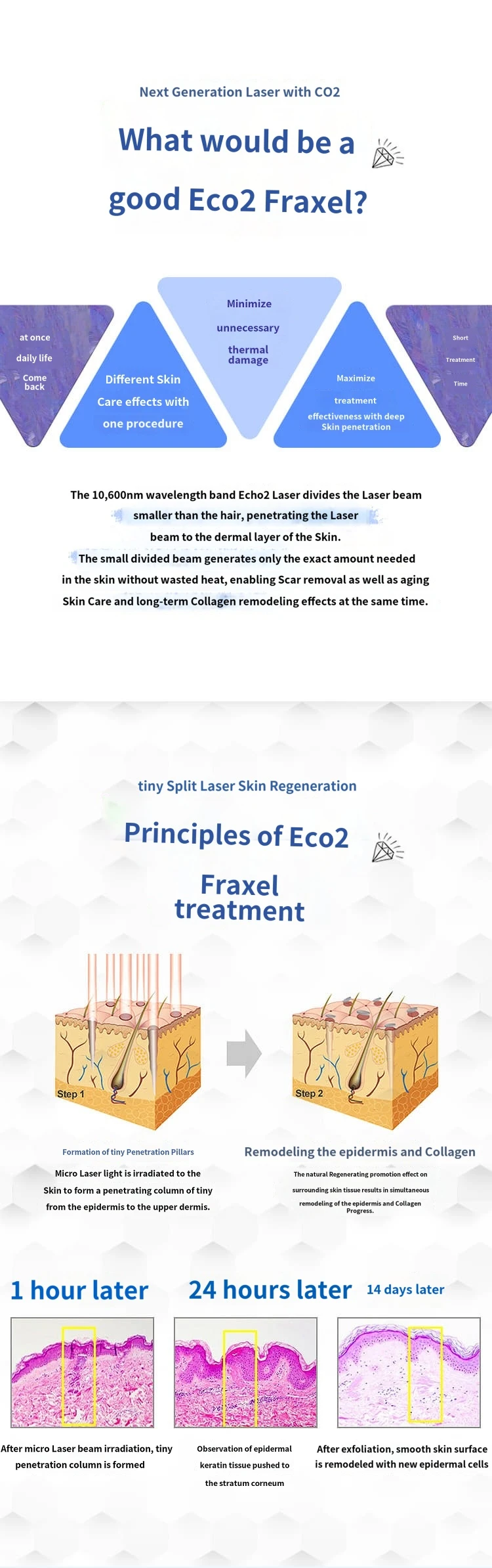 treatmentIntroduction