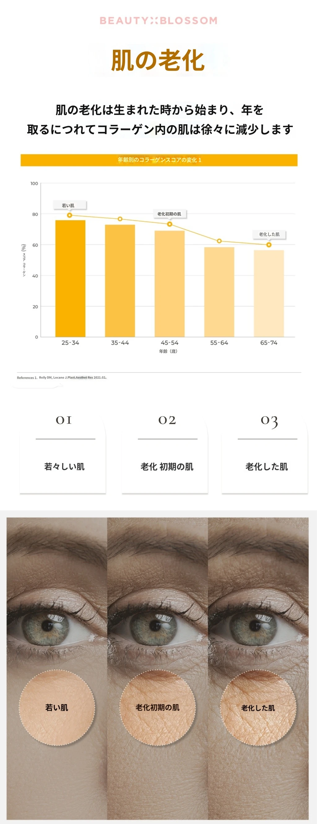treatmentIntroduction