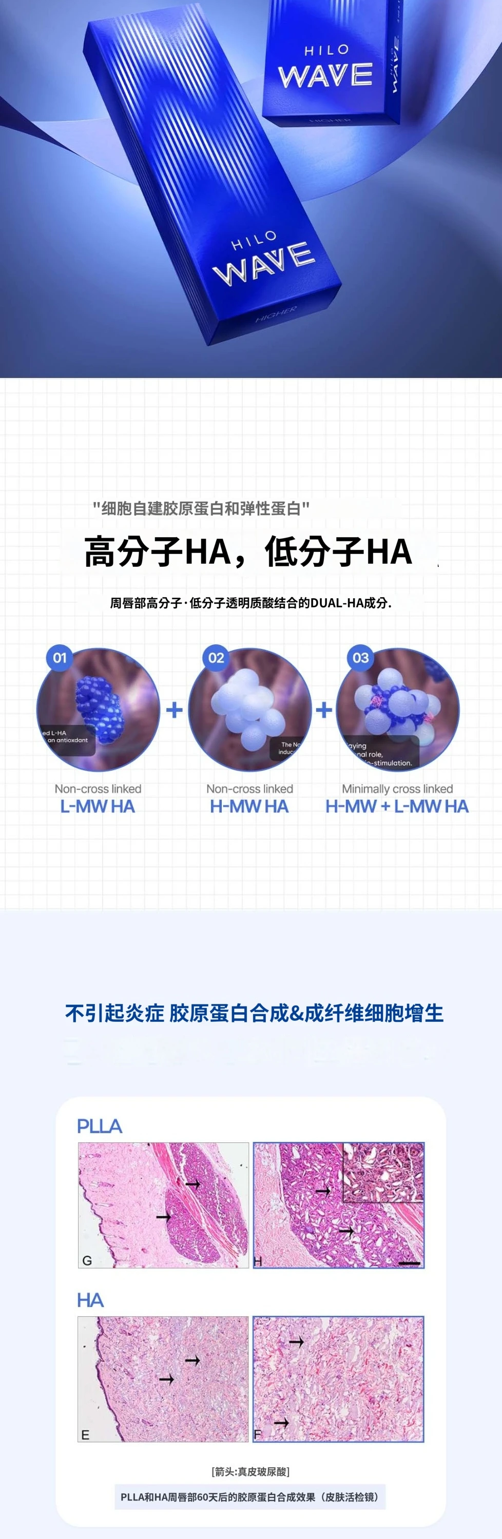 treatmentIntroduction