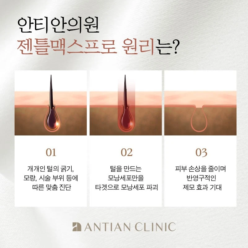 treatmentIntroduction