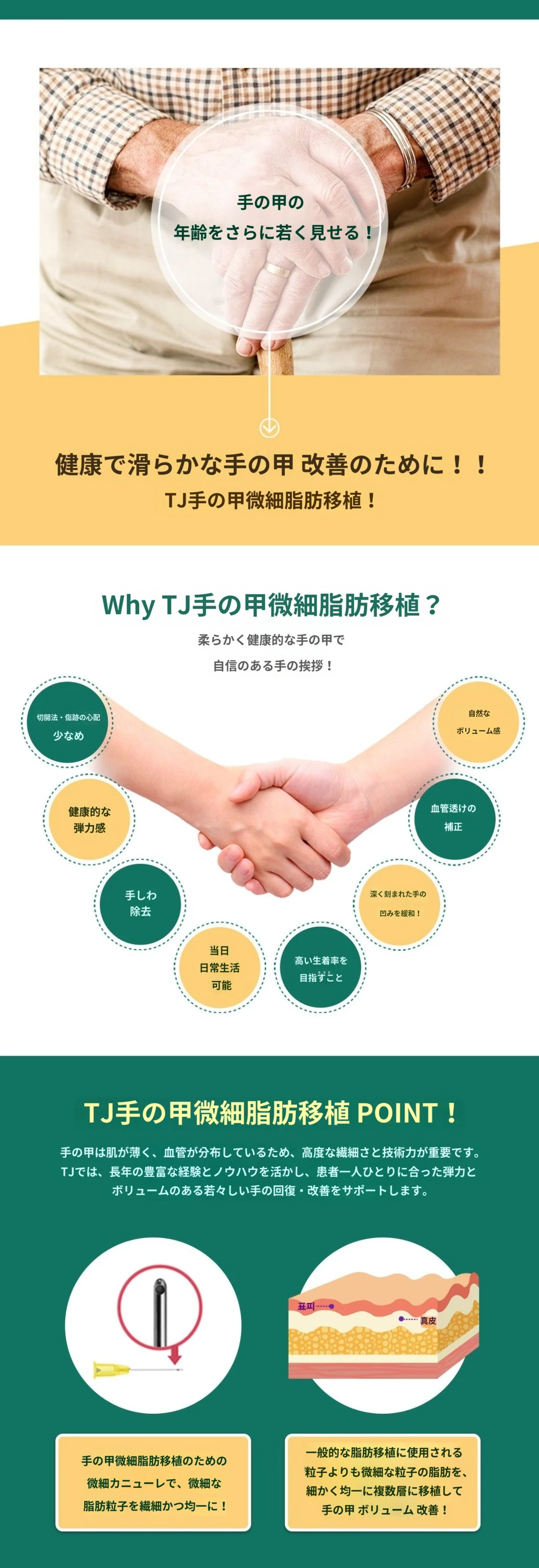 treatmentIntroduction