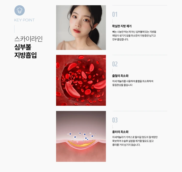 treatmentIntroduction