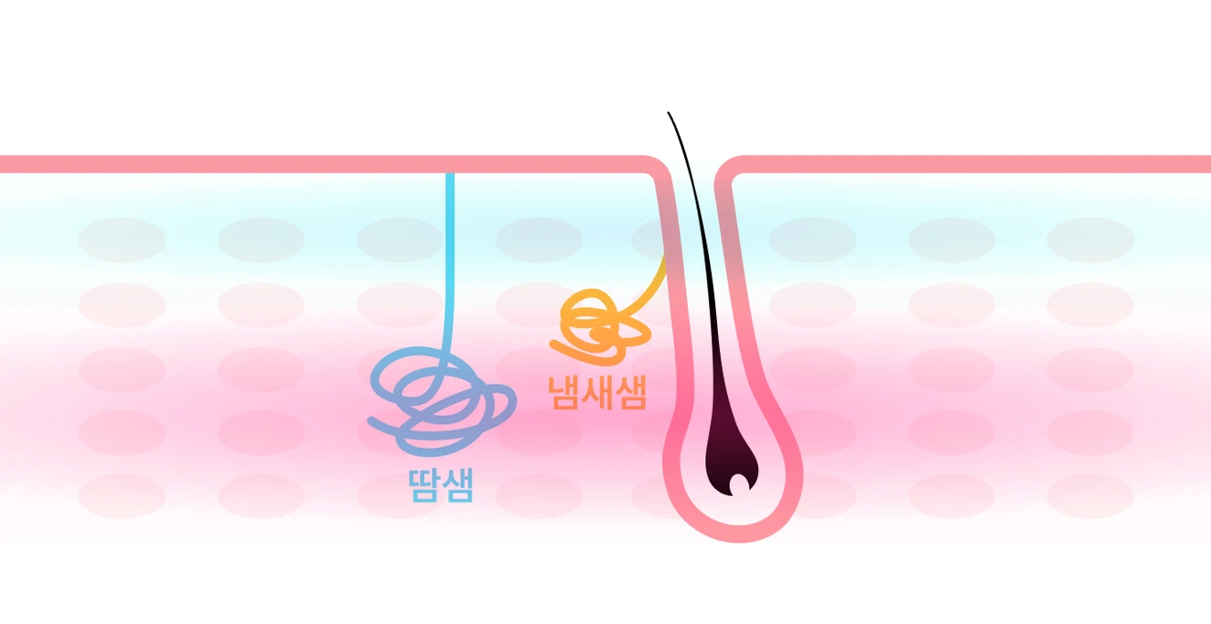 미라드라이-1