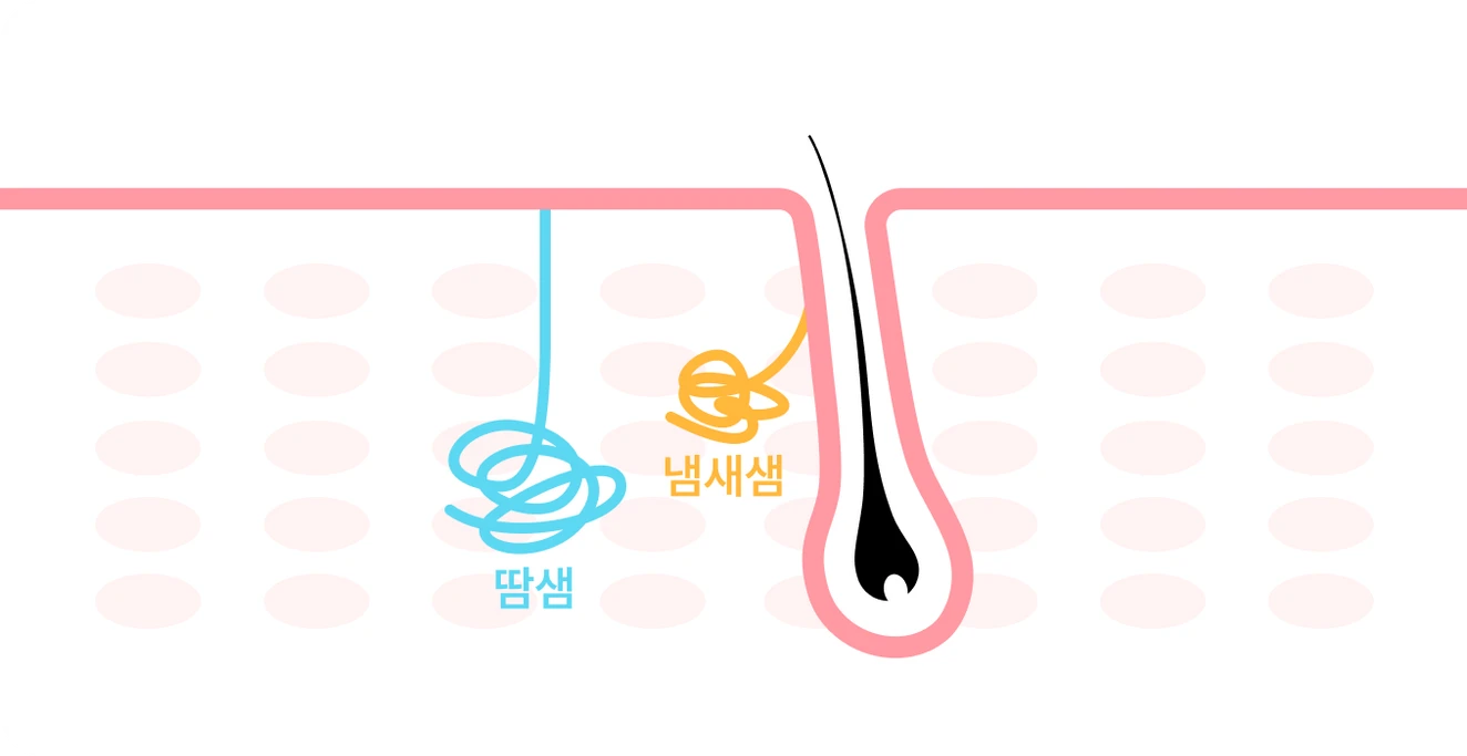 미라드라이-0